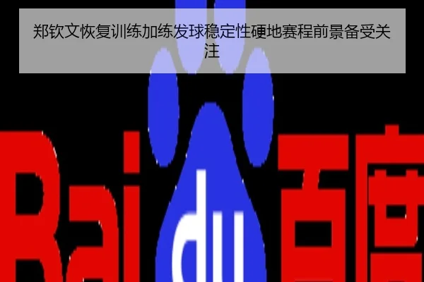 郑钦文恢复训练加练发球稳定性硬地赛程前景备受关注 | Senegal